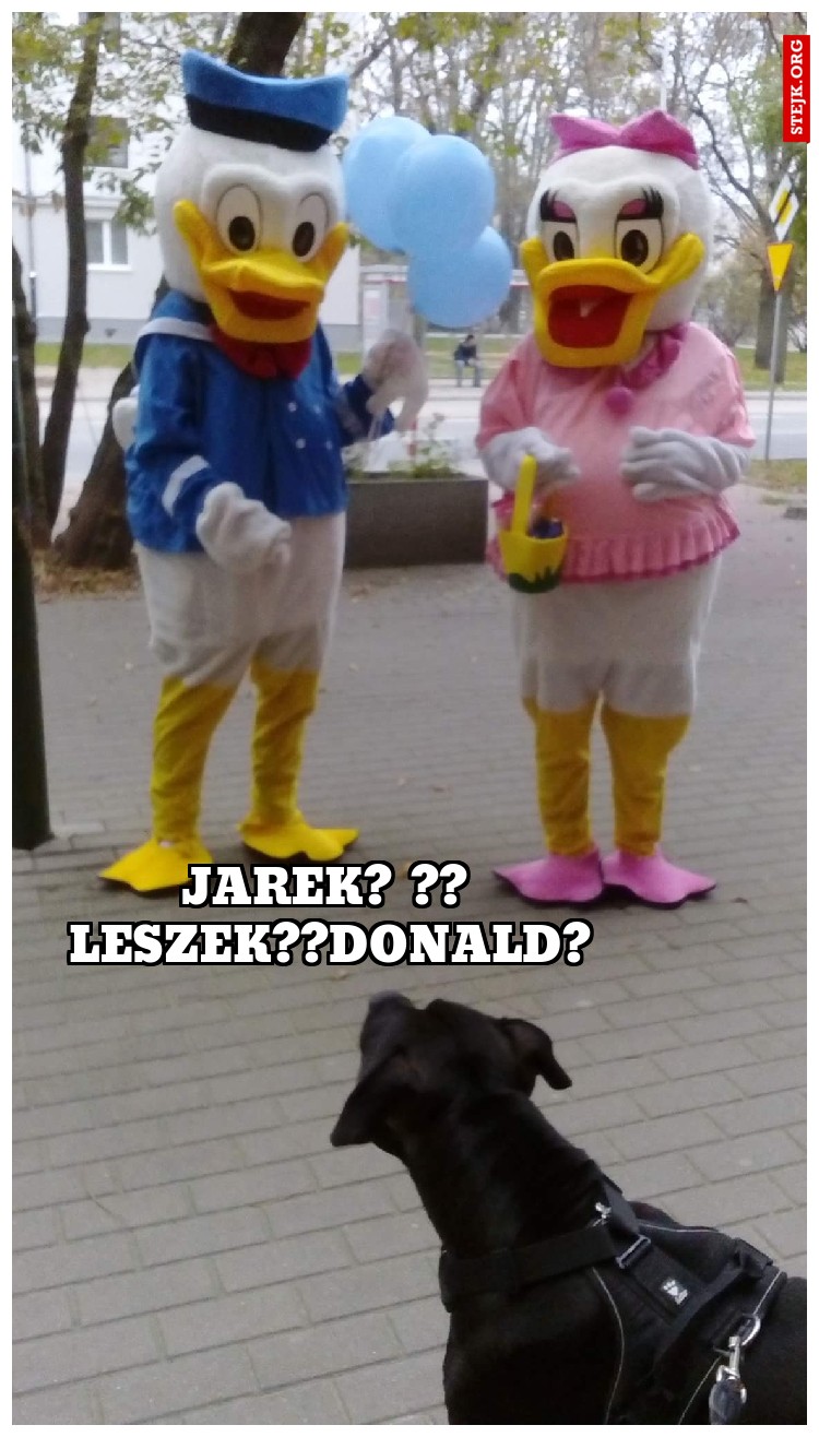 I znowu ukradną księżyc...
