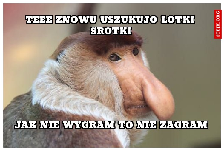 teee znowu uszukujo lotki srotki