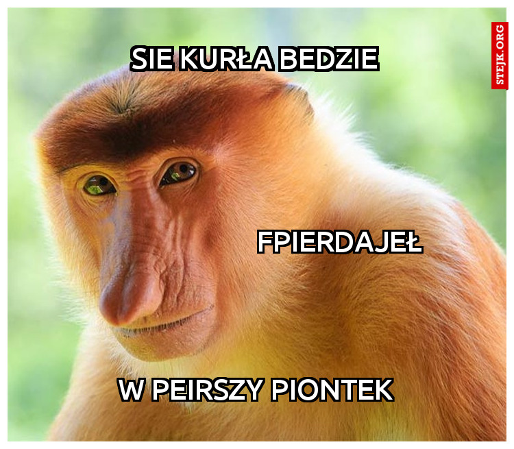  sie kurła bedzie 