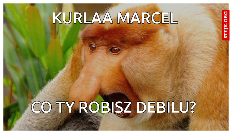 Uważaj HASEN