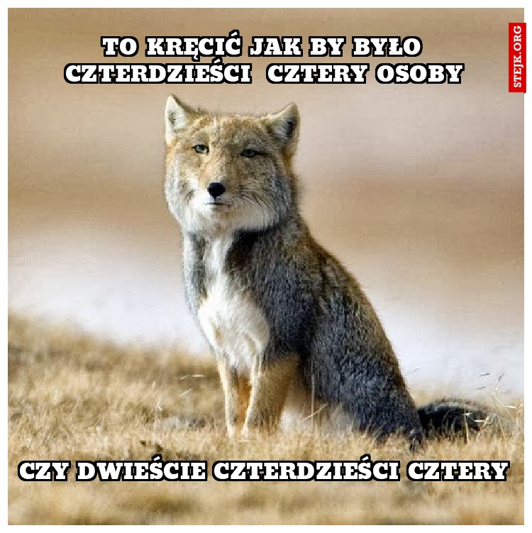czy dwieście czterdzieści cztery