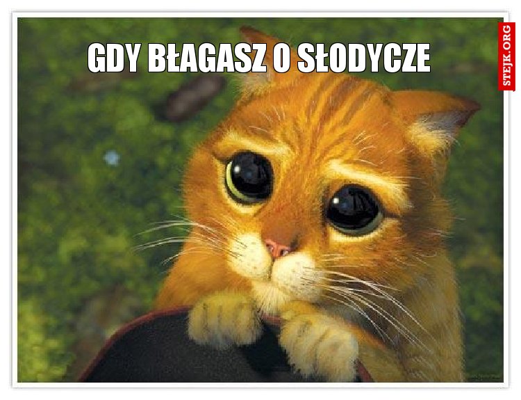 gdy błagasz o słodycze