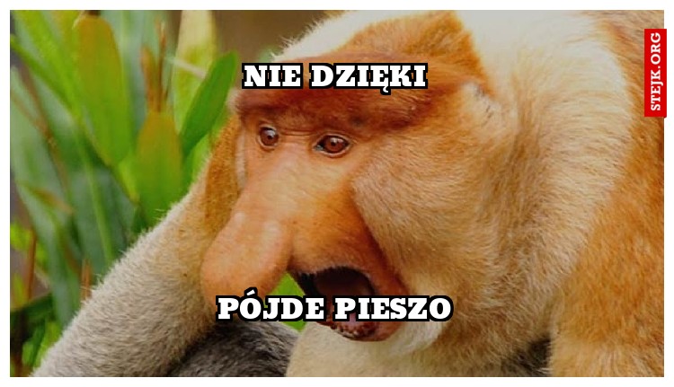 Nie dzięki
