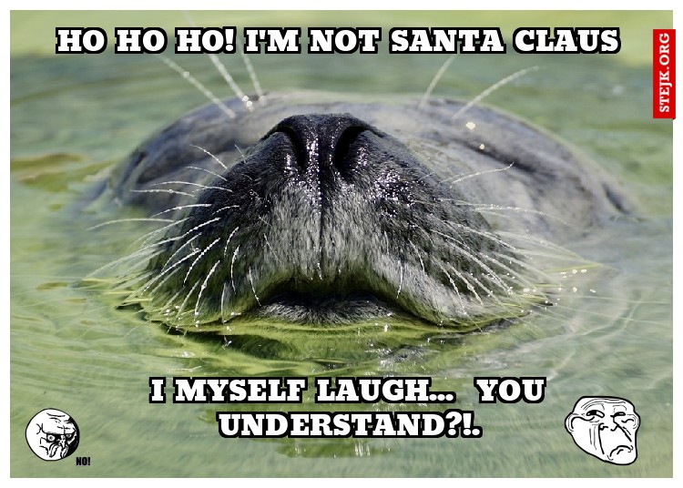 ho ho ho! I'm not Santa Claus
