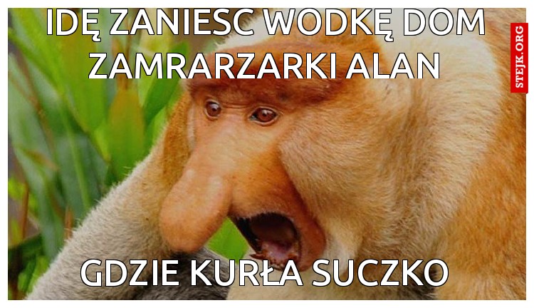 idę zanieść wódkę dom zamrarzarki alan