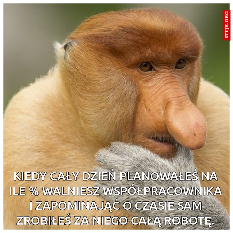 KIedy cały dzień planowałeś na ile % walniesz współpracownika i zapominająć o czasie sam zrobiłeś za niego całą robotę.