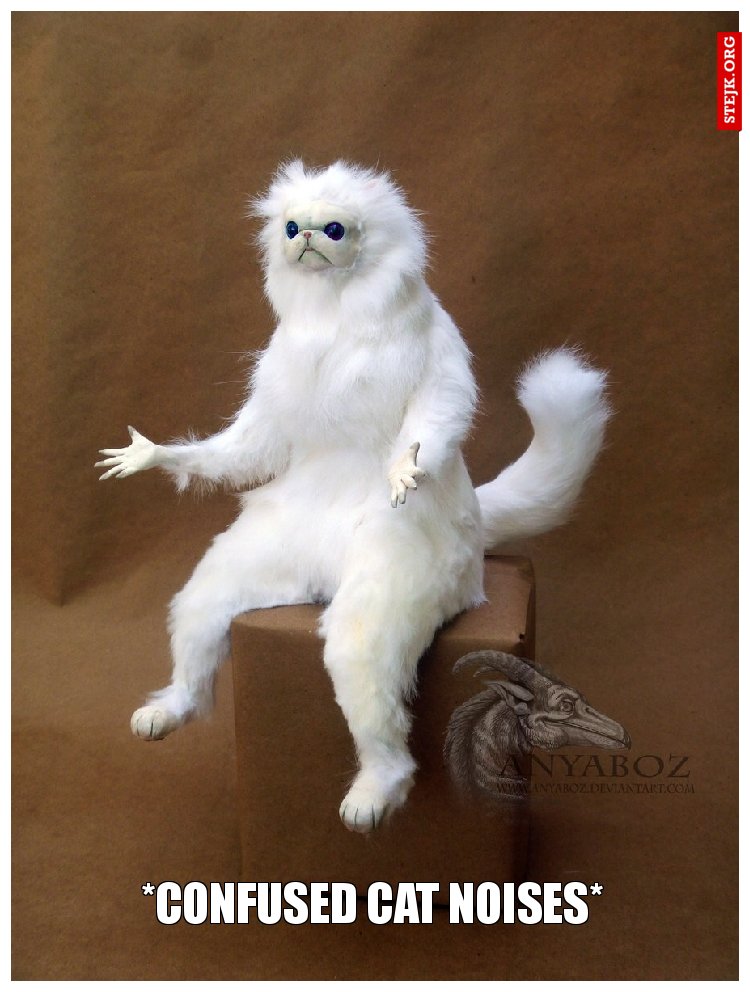 *confused cat noises*