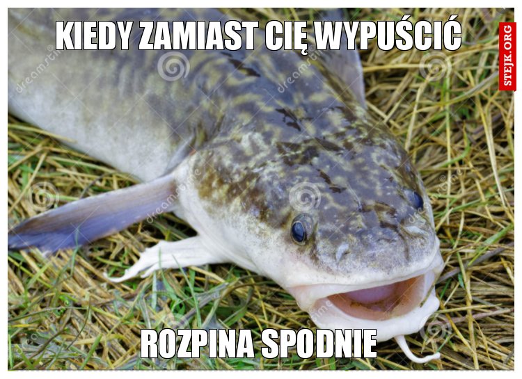Kiedy zamiast Cię wypuścić