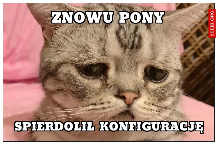 znowu pony