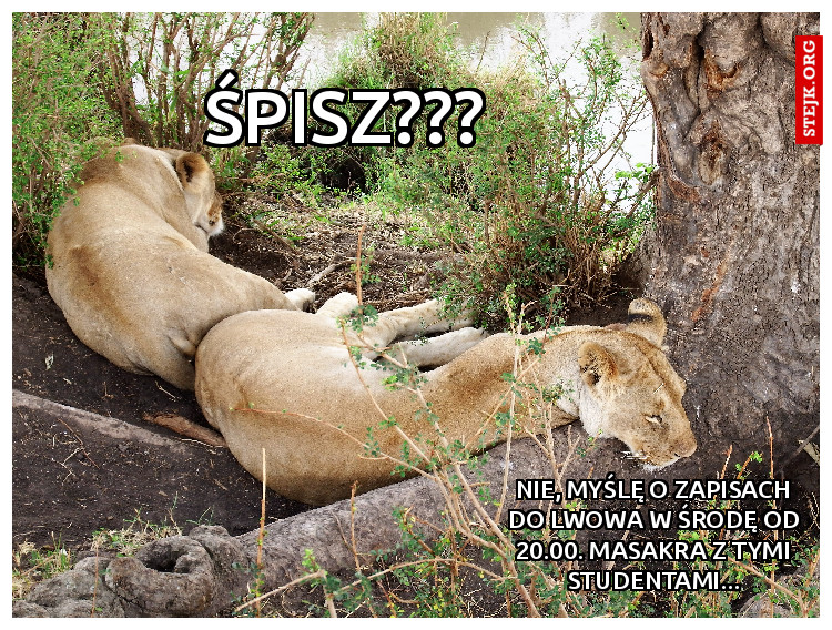 Śpisz???