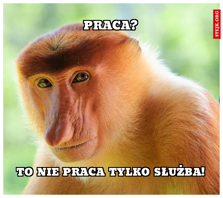 Praca?