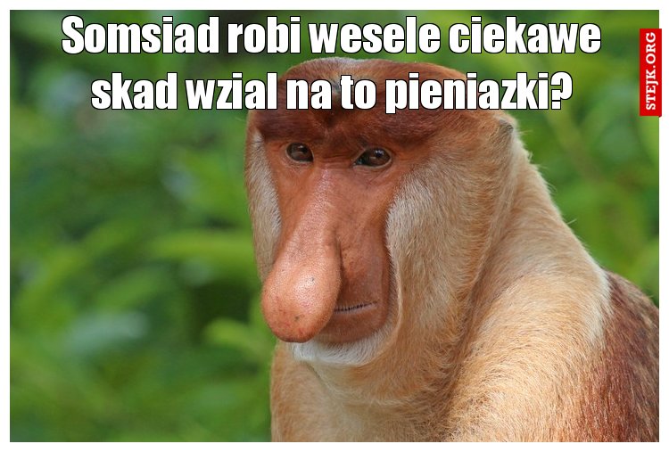 Somsiad robi wesele ciekawe skad wzial na to pieniazki?