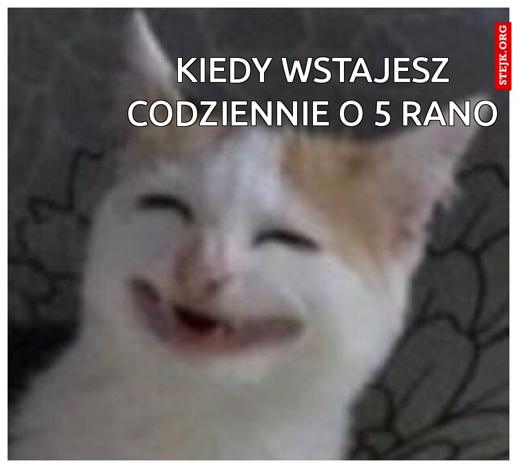 Kiedy wstajesz codziennie o 5 rano