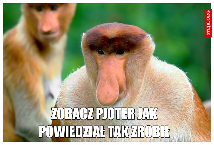 Miało być 50zł