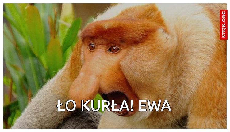 ŁO KURŁA! EWA