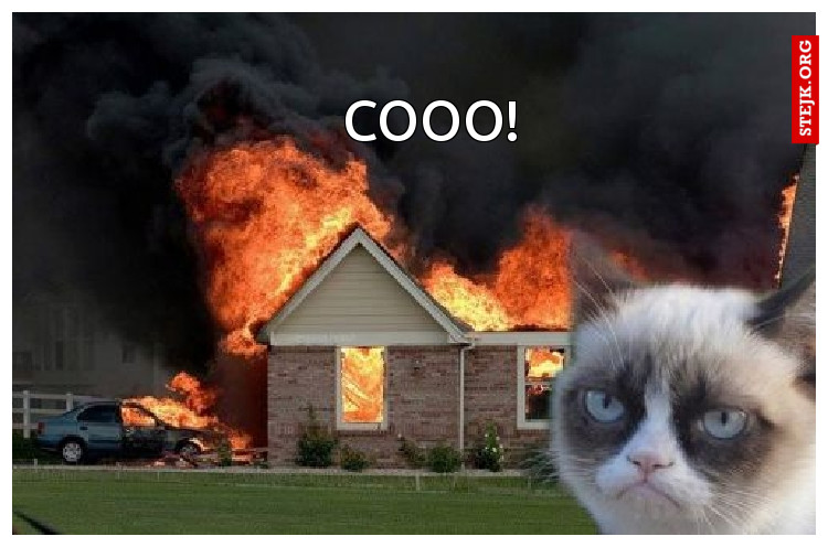 cooo!