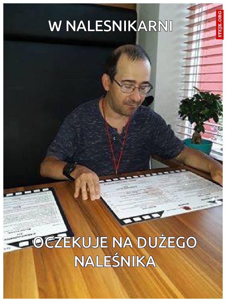 W NALESNIKARNI 
