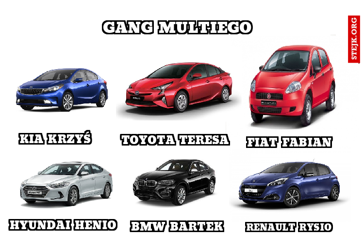 Gang multiego