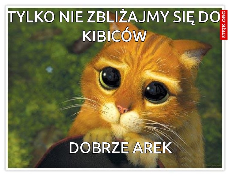 Tylko nie zbliżajmy się do kibiców