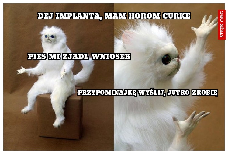 przypominajkę wyślij, jutro zrobię