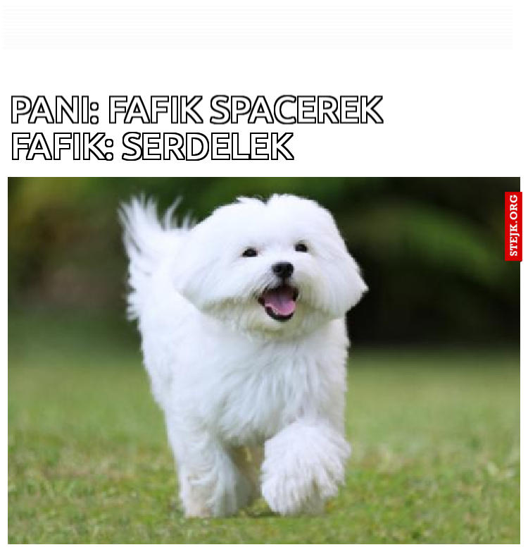 Pani: Fafik spacerek