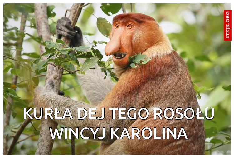 Kurła dej tego rosołu wincyj Karolina