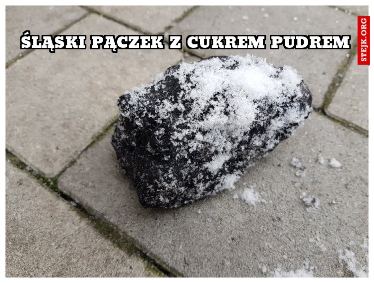 ŚLĄSKI PĄCZEK Z CUKREM PUDREM