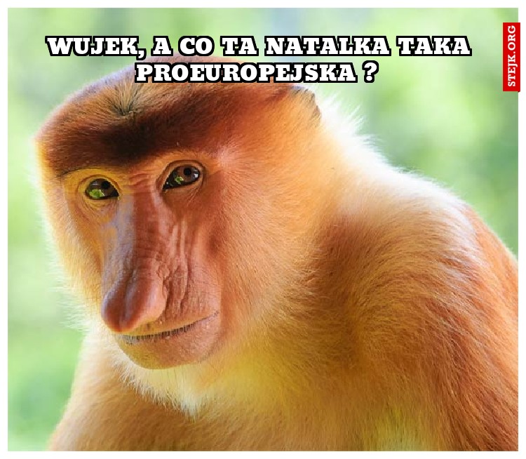 wujek, a co ta natalka taka proeuropejska ? 