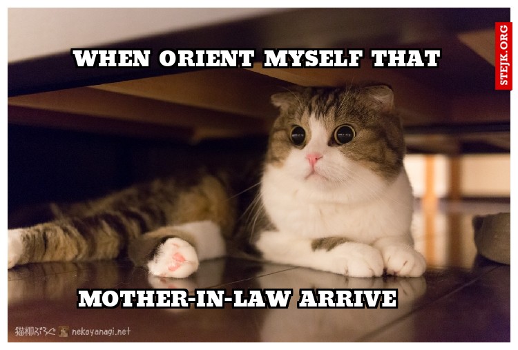When orient myself that