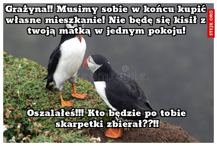 Grażyna!! Musimy sobie w końcu kupić własne mieszkanie! Nie będę się kisił z twoją matką w jednym pokoju!