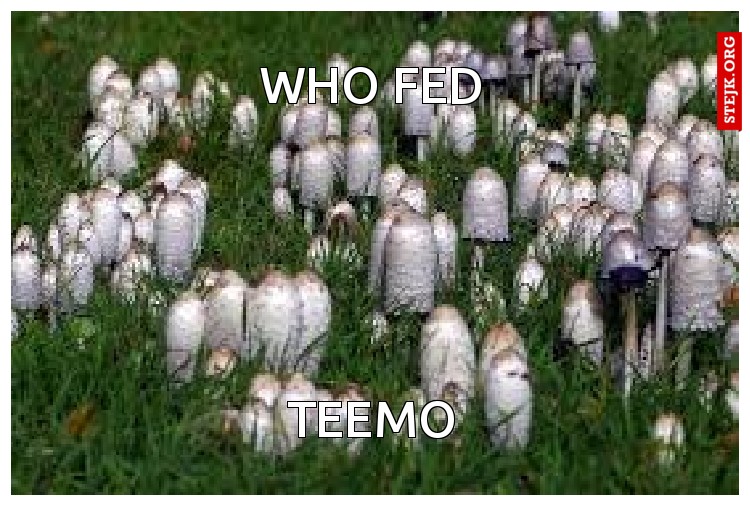 who fed