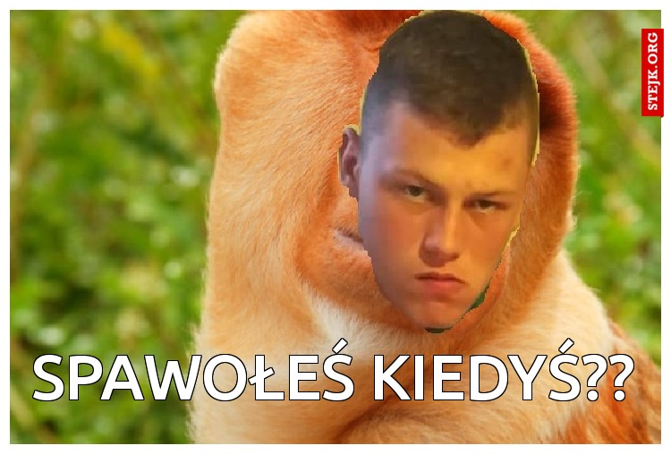 Spawołeś Kiedyś??