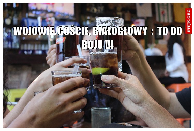 wojowie, goście, białogłowy  : za przyjęciem do nato ...