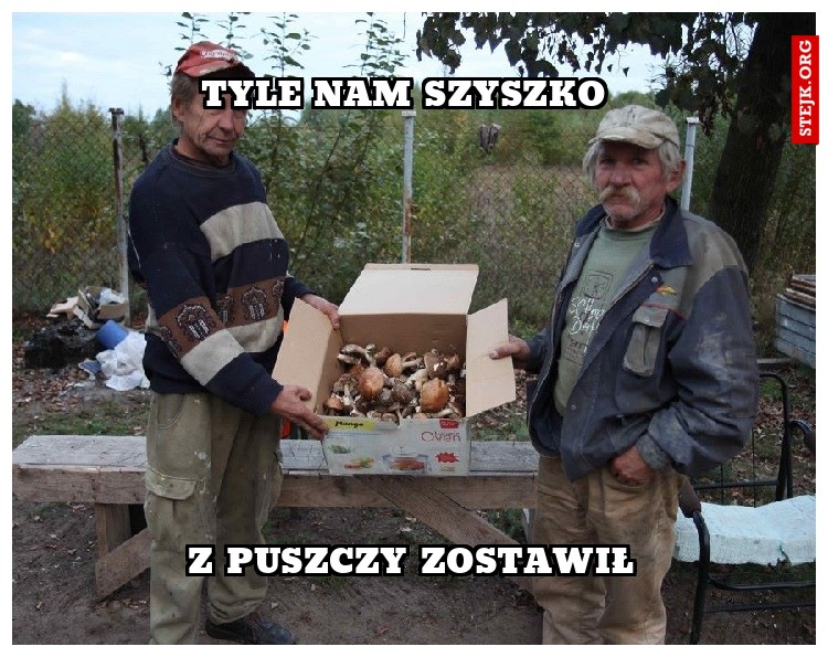 Tyle nam Szyszko 
