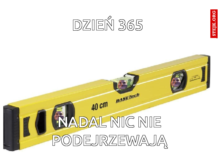 dzień 365 