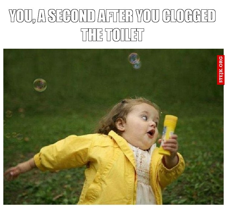 You, a second after you clogged the toilet