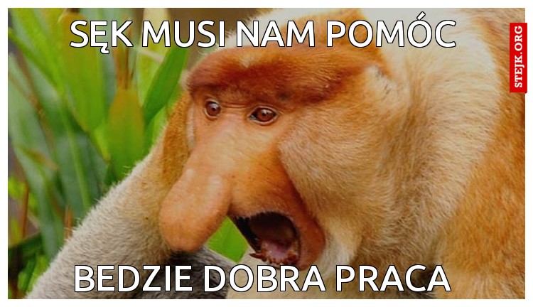 SĘK MUSI NAM POMÓC