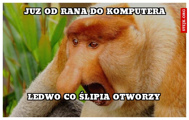 JUz od rana do komputera
