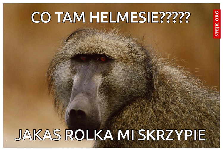 Jakas rolka mi skrzypie