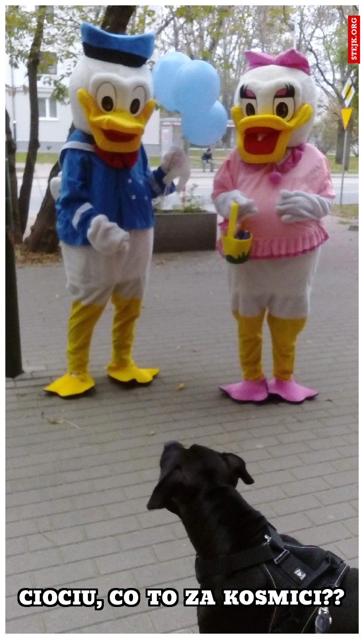 Ciociu, co to za kosmici??