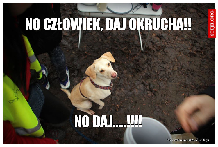 No człowiek, daj okrucha!!