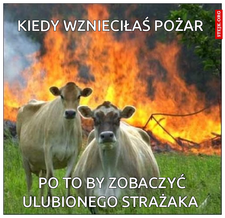 Kiedy wznieciłaś pożar 