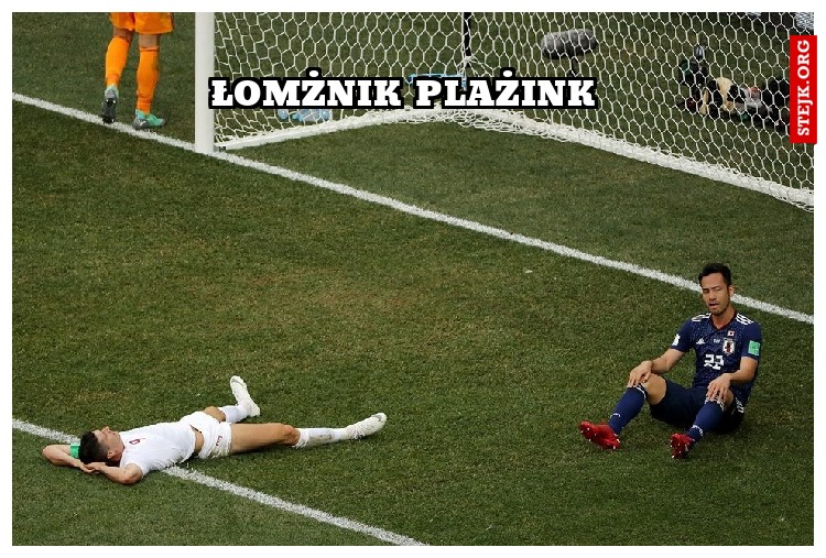 łomżnik plażink 