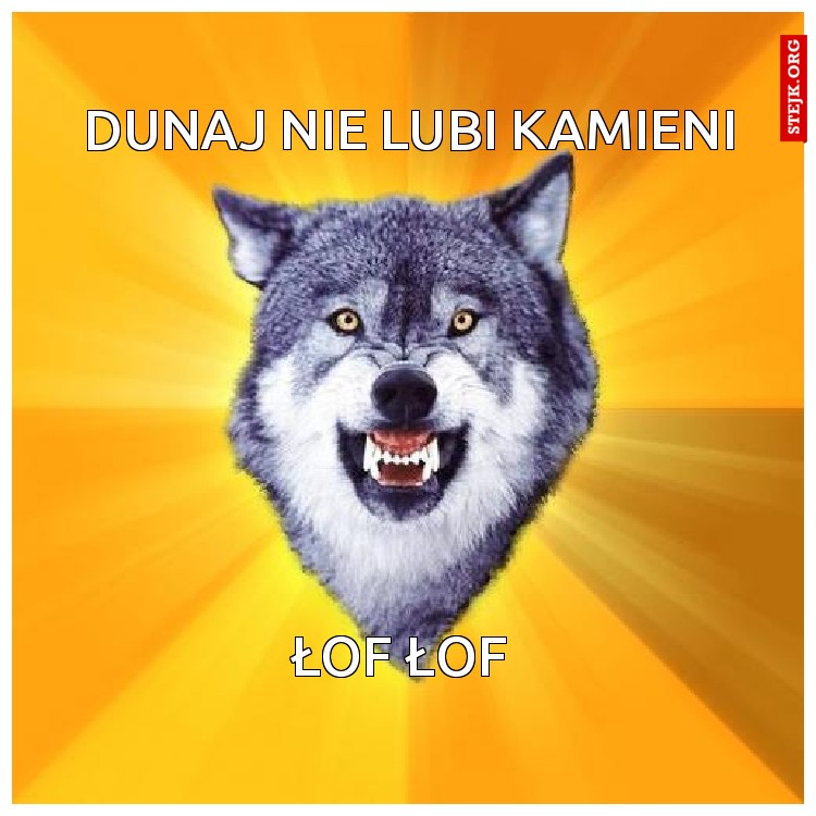dunaj nie lubi kamieni