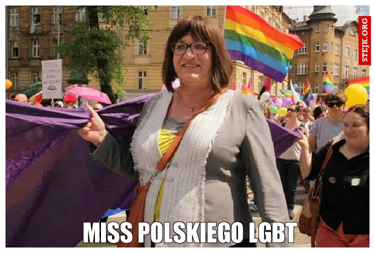 Miss polskiego lgbt 