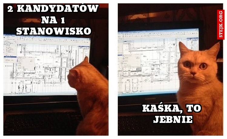 2 kandydatów na 1 stanowisko