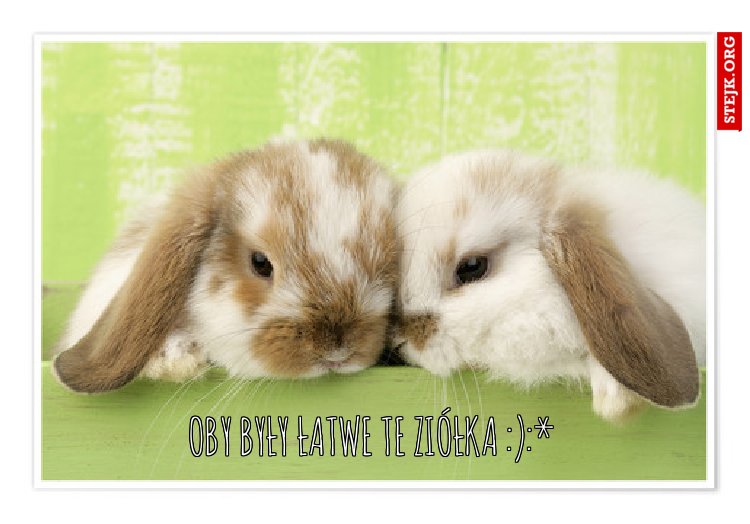 Oby były łatwe te ziółka :) :*