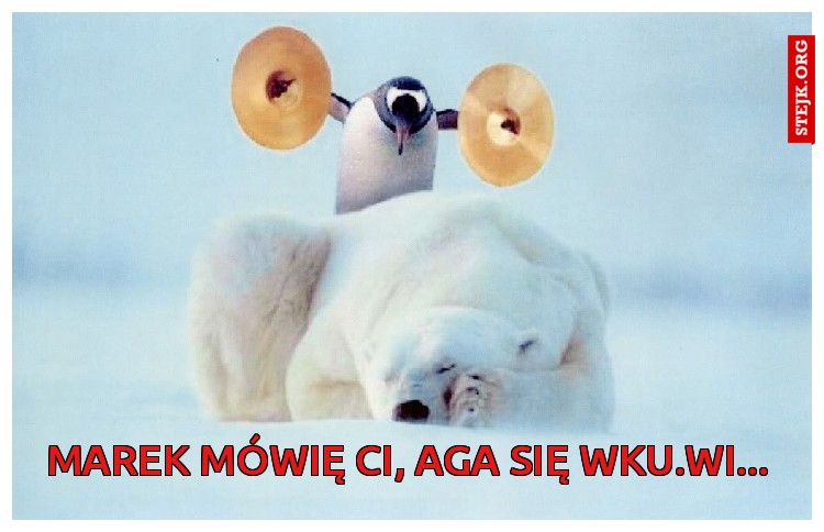 marek mówię ci, aga się wku.wi...