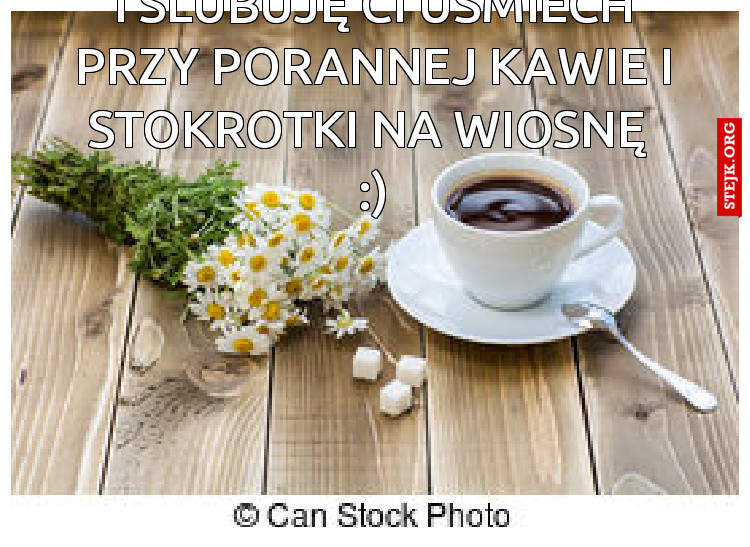 I ślubuję Ci uśmiech przy porannej kawie i stokrotki na wiosnę  :)