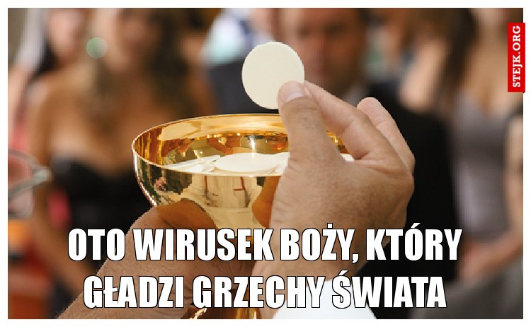 oto Wirusek Boży, który gładzi grzechy Świata